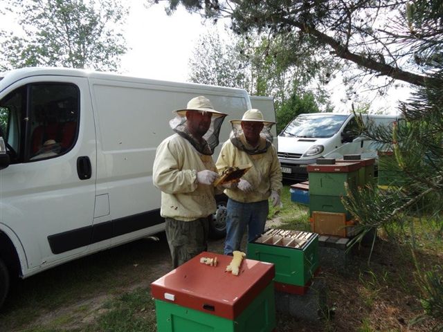 majowa praca w pasiece majowa praca w pasiece